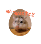 毛玉スタンプ おまけ（個別スタンプ：4）