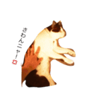 猫のがーくんの日常（個別スタンプ：2）