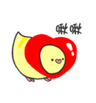 parrot go（個別スタンプ：5）