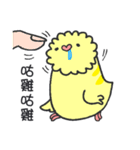 parrot go（個別スタンプ：6）