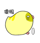 parrot go（個別スタンプ：12）