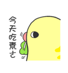 parrot go（個別スタンプ：16）