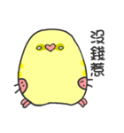 parrot go（個別スタンプ：20）