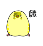 parrot go（個別スタンプ：40）