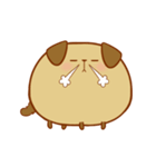 Chubby Brown Dog（個別スタンプ：6）