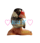 文鳥のおはぎ（個別スタンプ：2）