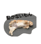 ゴルゴル（個別スタンプ：3）