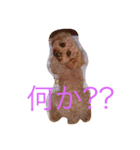 菜望＆ぽんず（個別スタンプ：7）