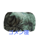 荊夏 その3（個別スタンプ：12）