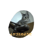 荊夏 その3（個別スタンプ：22）