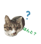 キキちゃんのおへや（個別スタンプ：5）