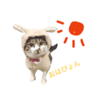 キキちゃんのおへや（個別スタンプ：7）