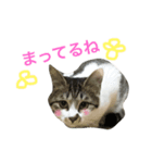 キキちゃんのおへや（個別スタンプ：8）