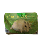ハム☆（個別スタンプ：6）