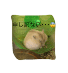 ハム☆（個別スタンプ：8）