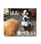 ちーたんスタンプ（個別スタンプ：7）