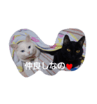 サン ジジ ユキ（個別スタンプ：5）