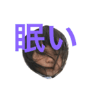 娘100ぱーせんと日常2（個別スタンプ：8）
