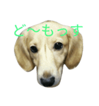 じいくの助（個別スタンプ：1）