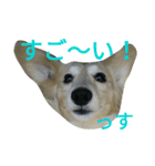 じいくの助（個別スタンプ：5）