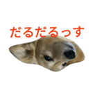 じいくの助（個別スタンプ：7）