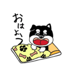 くろ柴（個別スタンプ：1）