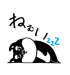 くろ柴（個別スタンプ：6）