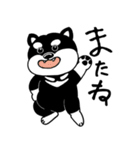 くろ柴（個別スタンプ：10）