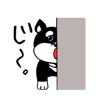 くろ柴（個別スタンプ：12）