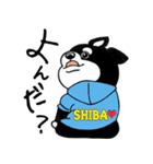 くろ柴（個別スタンプ：13）