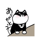 くろ柴（個別スタンプ：16）