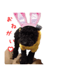 ちろわんと愉快な仲間たち（個別スタンプ：5）