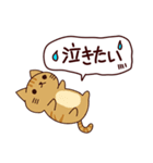 ネガティブな猫 日本語（個別スタンプ：34）