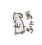 Rabbit with Mask -Move it up（個別スタンプ：7）