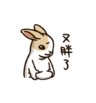 Rabbit with Mask -Move it up（個別スタンプ：11）