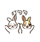 Rabbit with Mask -Move it up（個別スタンプ：15）