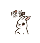 Rabbit with Mask -Move it up（個別スタンプ：21）