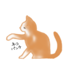 愛情表現が豊かな猫さん（個別スタンプ：2）