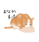 愛情表現が豊かな猫さん（個別スタンプ：4）