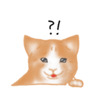 愛情表現が豊かな猫さん（個別スタンプ：5）