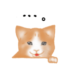 愛情表現が豊かな猫さん（個別スタンプ：6）