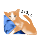 愛情表現が豊かな猫さん（個別スタンプ：7）