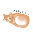 愛情表現が豊かな猫さん（個別スタンプ：9）