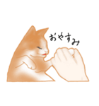 愛情表現が豊かな猫さん（個別スタンプ：11）