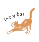 愛情表現が豊かな猫さん（個別スタンプ：12）