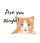愛情表現が豊かな猫さん（個別スタンプ：16）