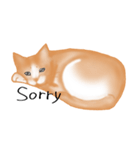 愛情表現が豊かな猫さん（個別スタンプ：17）
