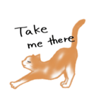 愛情表現が豊かな猫さん（個別スタンプ：18）