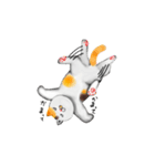 家ねこ（個別スタンプ：9）