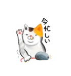 家ねこ（個別スタンプ：11）